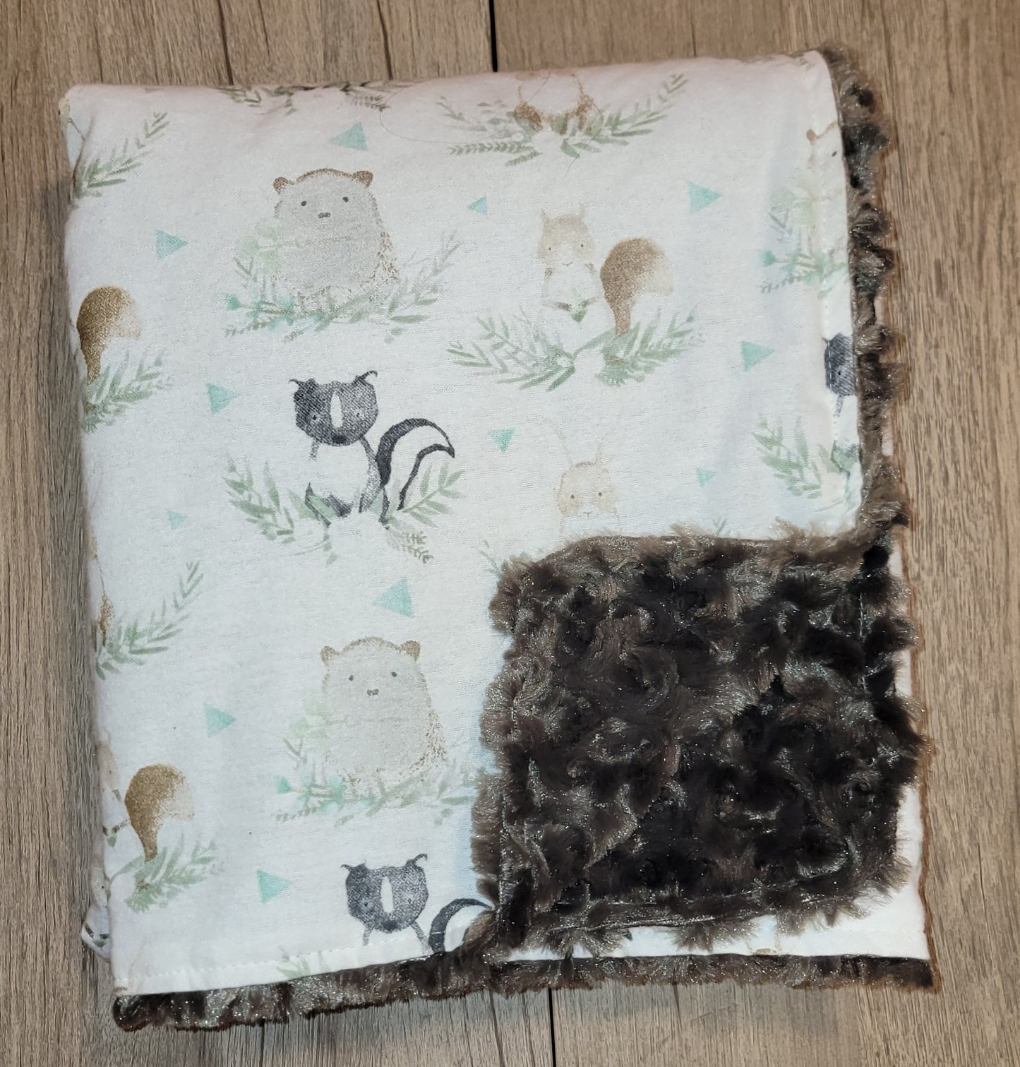 Woodland Animals with Raccoon Baby Minky Blanket