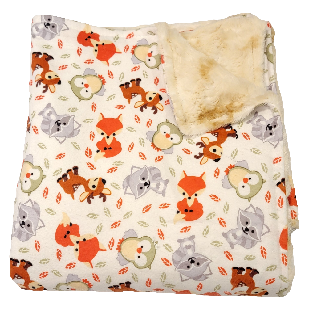 Little Critter and Tan Baby Minky Blanket