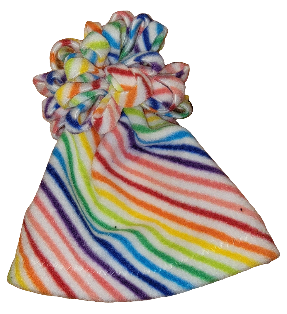 Rainbow Stripe Fleece Hat