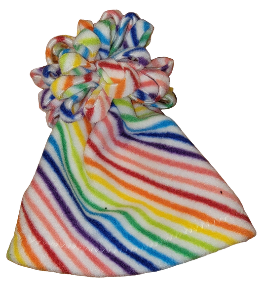 Rainbow Stripe Fleece Hat