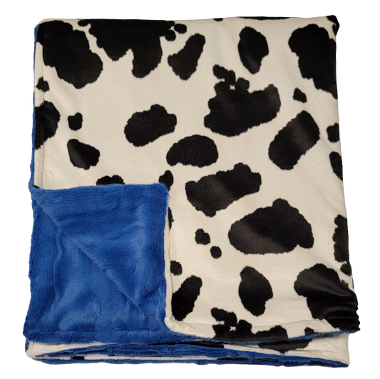 Cow Print with Royal Blue Toddler Minky Blanket