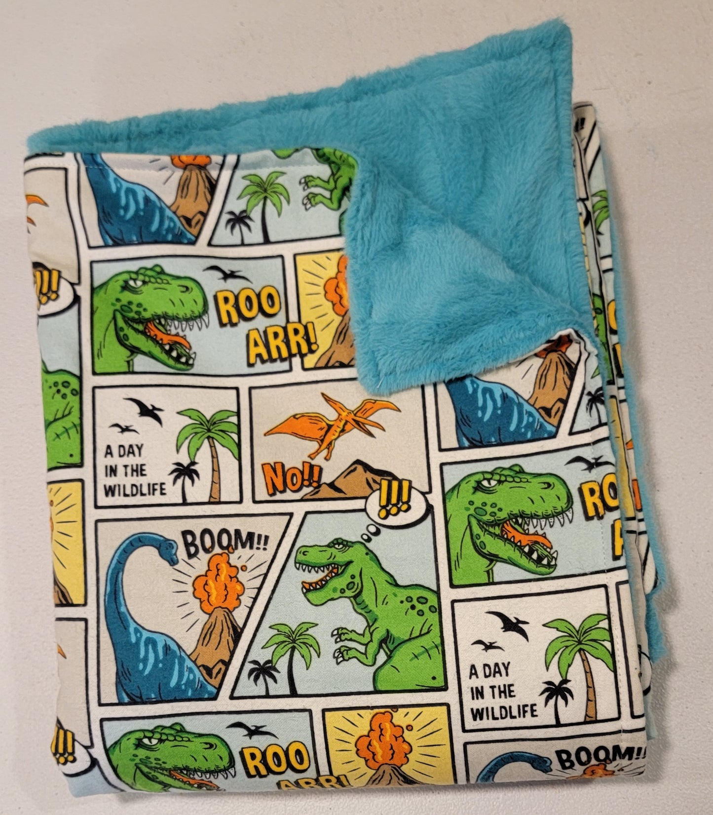 Dinosaur Baby Minky Blanket